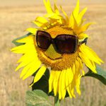 how to unlock your inner happiness
